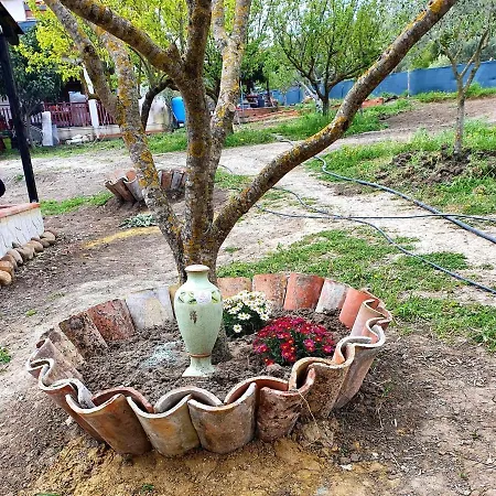 Parco Morello Piano Terra